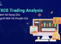 Học giao dịch Forex miễn phí – Tài liệu, video & cộng đồng cho người mới
