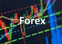 Top 7 sàn Forex uy tín nhất năm nay cho trader Việt