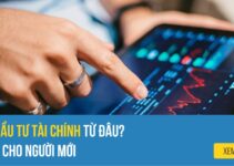 Copy Trade là gì? Có nên dùng hình thức này không?